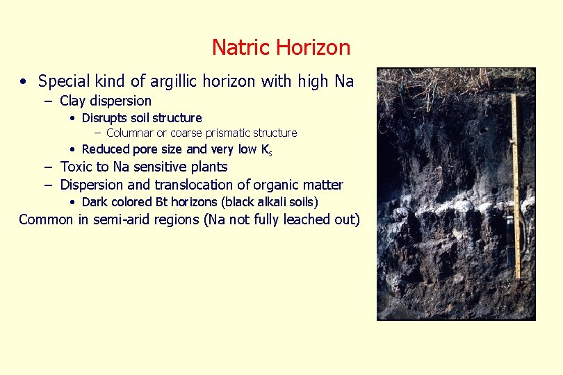 Natric Horizon • Special kind of argillic horizon with high Na – Clay dispersion