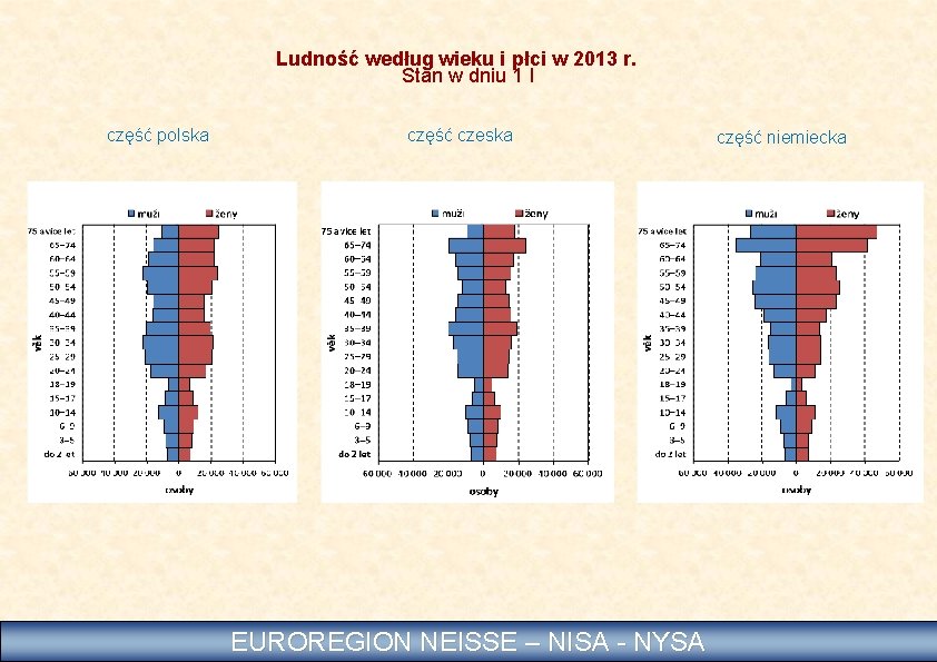 Ludność według wieku i płci w 2013 r. Stan w dniu 1 I część