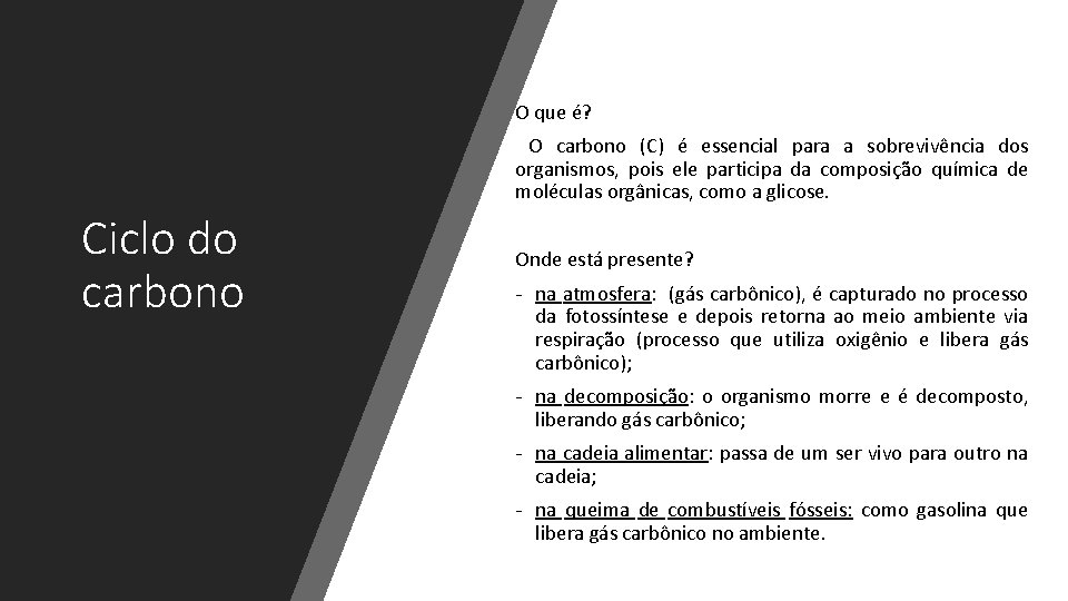 O que é? O carbono (C) é essencial para a sobrevivência dos organismos, pois