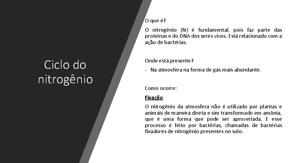 O que é? O nitrogênio (N) é fundamental, pois faz parte das proteínas e
