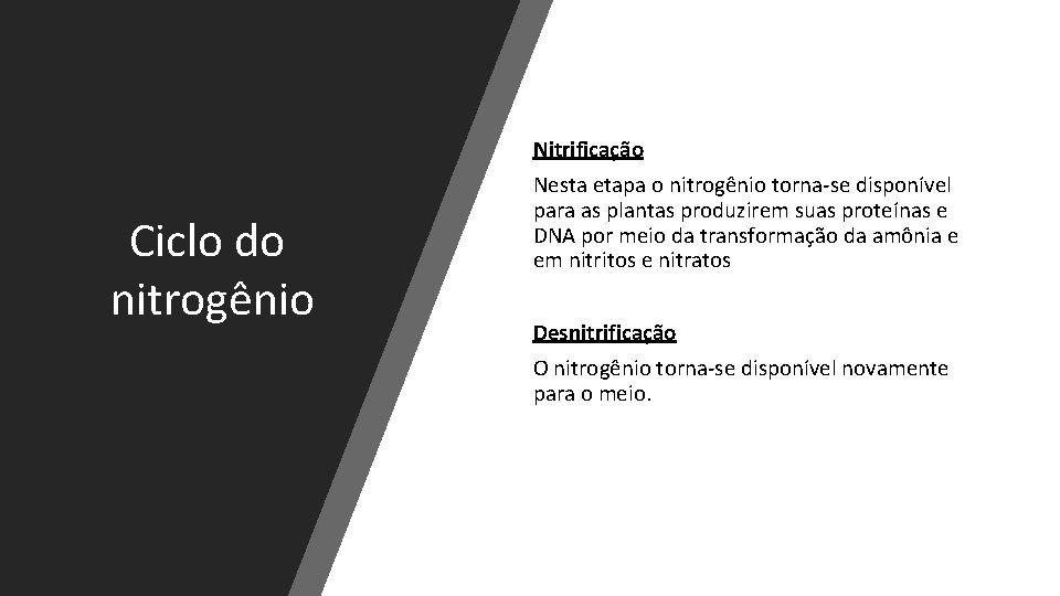 Nitrificação Ciclo do nitrogênio Nesta etapa o nitrogênio torna-se disponível para as plantas produzirem
