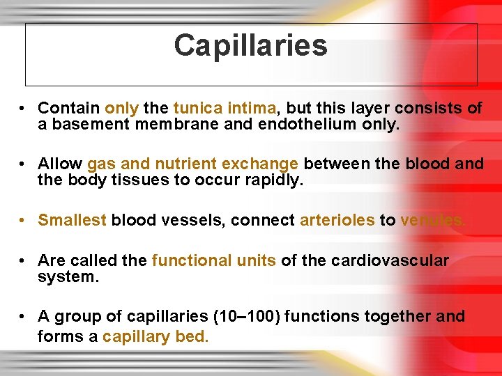 Capillaries • Contain only the tunica intima, but this layer consists of a basement