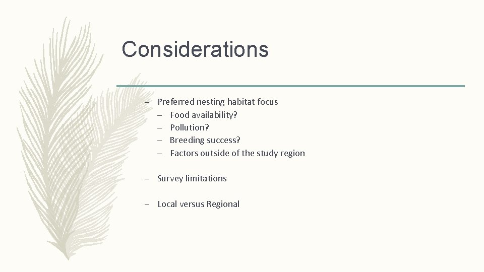 Considerations – Preferred nesting habitat focus – Food availability? – Pollution? – Breeding success?