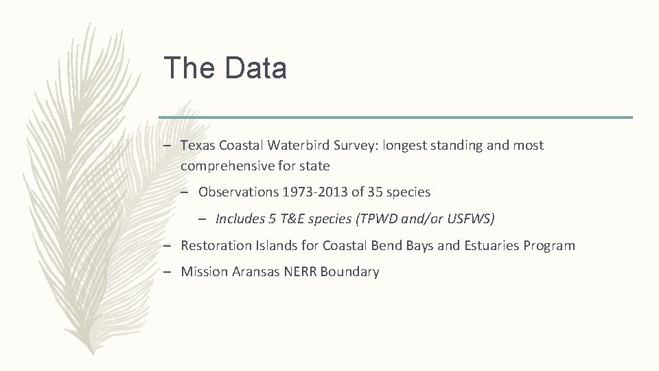 The Data – Texas Coastal Waterbird Survey: longest standing and most comprehensive for state