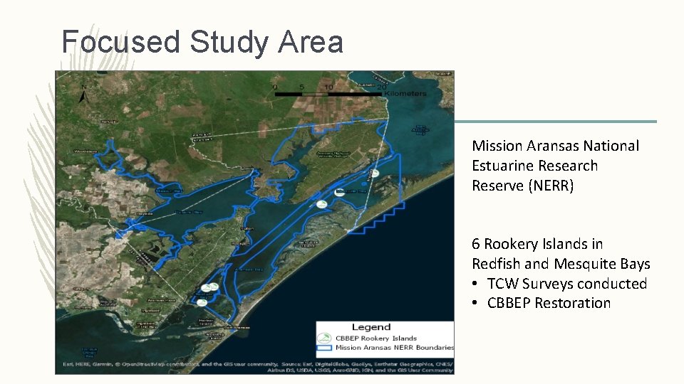 Focused Study Area Mission Aransas National Estuarine Research Reserve (NERR) 6 Rookery Islands in