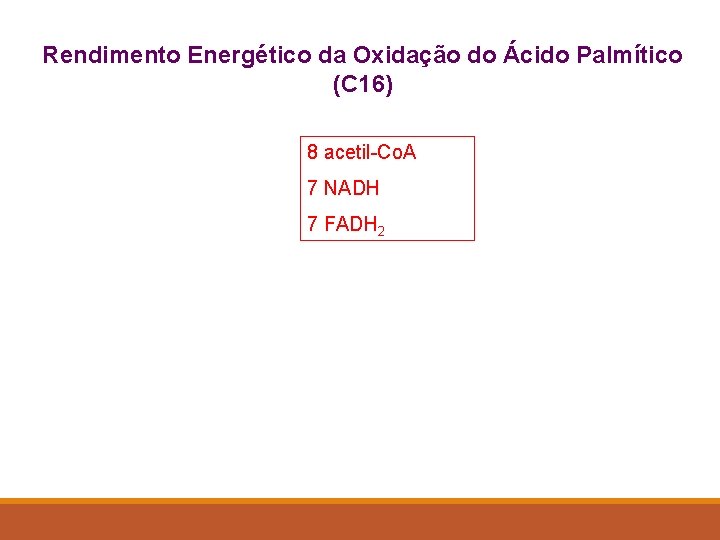 Rendimento Energético da Oxidação do Ácido Palmítico (C 16) 8 acetil-Co. A 7 NADH