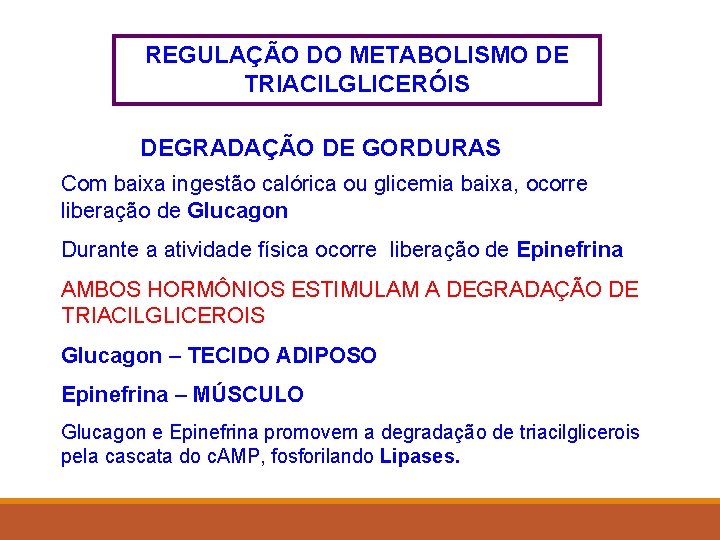 REGULAÇÃO DO METABOLISMO DE TRIACILGLICERÓIS DEGRADAÇÃO DE GORDURAS Com baixa ingestão calórica ou glicemia