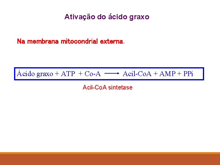 Ativação do ácido graxo Na membrana mitocondrial externa. Ácido graxo + ATP + Co-A