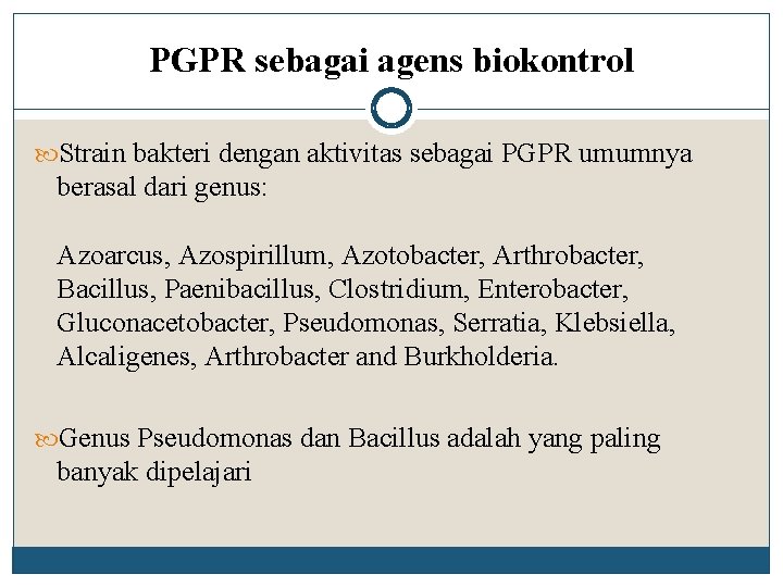 PGPR sebagai agens biokontrol Strain bakteri dengan aktivitas sebagai PGPR umumnya berasal dari genus: