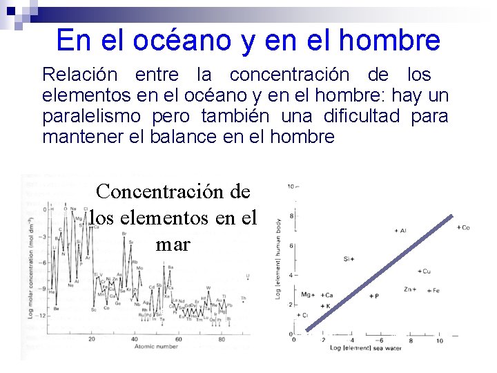 En el océano y en el hombre Relación entre la concentración de los elementos