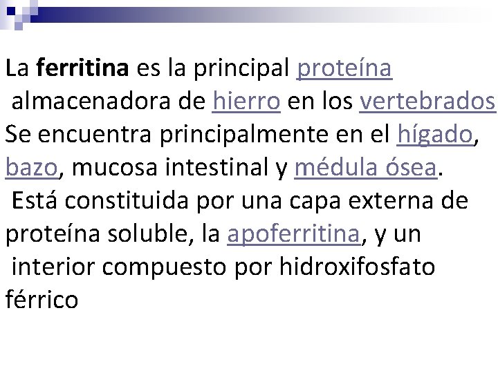 La ferritina es la principal proteína almacenadora de hierro en los vertebrados. Se encuentra