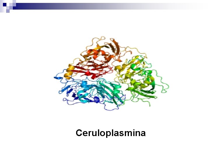Ceruloplasmina 