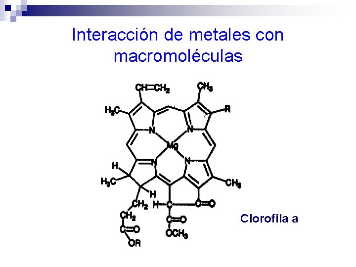 Interacción de metales con macromoléculas Clorofila a 