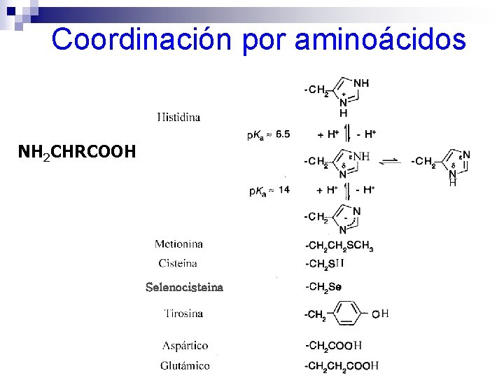 Coordinación por aminoácidos NH 2 CHRCOOH Selenocisteina 