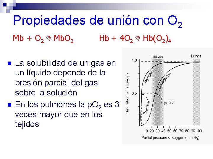 Propiedades de unión con O 2 Mb + O 2 Mb. O 2 n