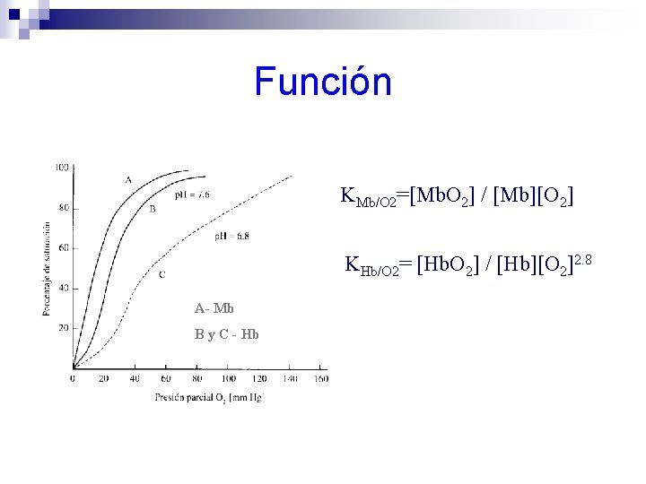 Función KMb/O 2=[Mb. O 2] / [Mb][O 2] KHb/O 2= [Hb. O 2] /