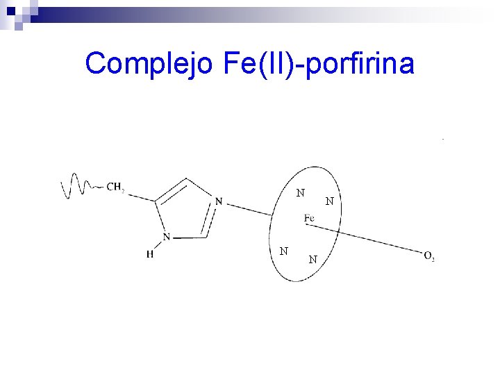 Complejo Fe(II)-porfirina N N 