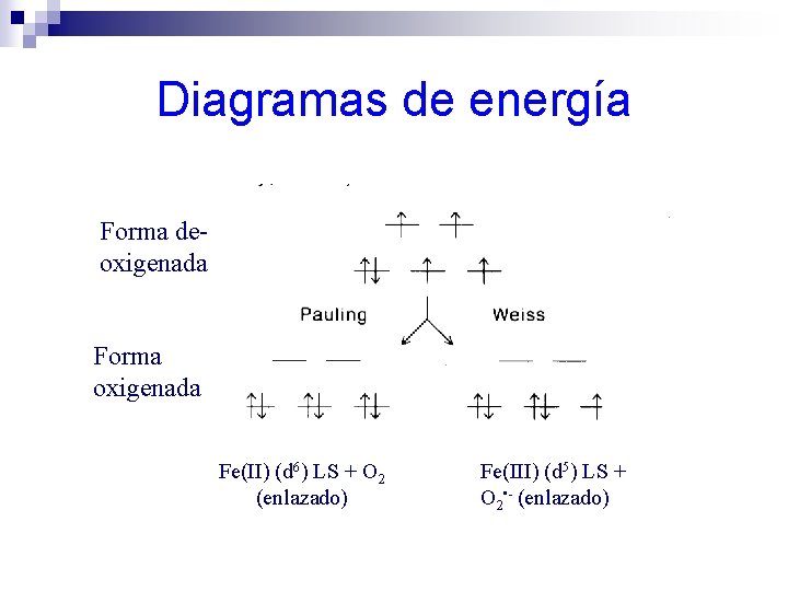 Diagramas de energía Forma deoxigenada Forma oxigenada Fe(II) (d 6) LS + O 2