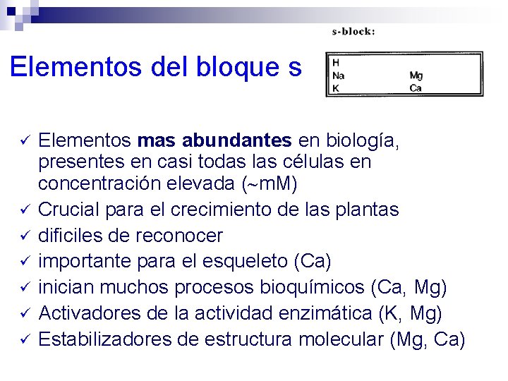 Elementos del bloque s ü ü ü ü Elementos mas abundantes en biología, presentes