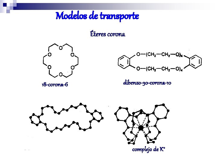 Modelos de transporte Éteres corona 18 -corona-6 dibenzo-30 -corona-10 complejo de K+ 