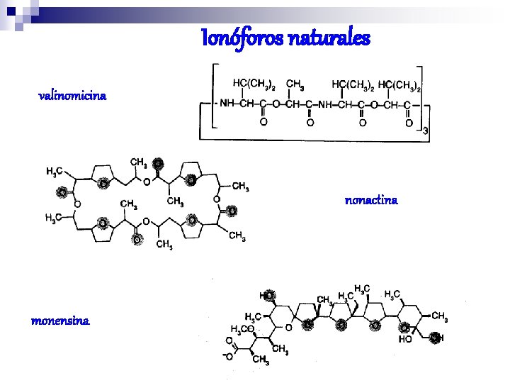 Ionóforos naturales valinomicina nonactina monensina 