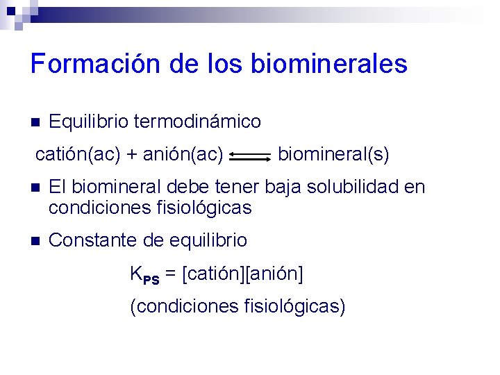 Formación de los biominerales n Equilibrio termodinámico catión(ac) + anión(ac) biomineral(s) n El biomineral