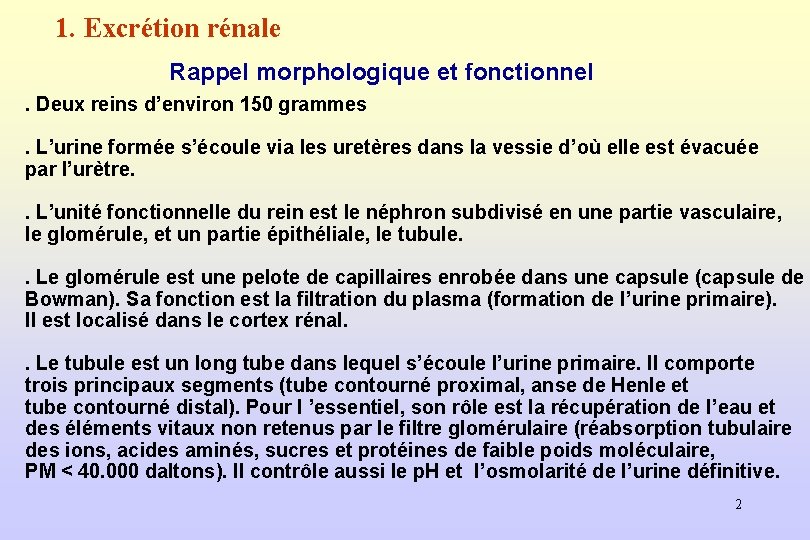 1. Excrétion rénale Rappel morphologique et fonctionnel. Deux reins d’environ 150 grammes. L’urine formée