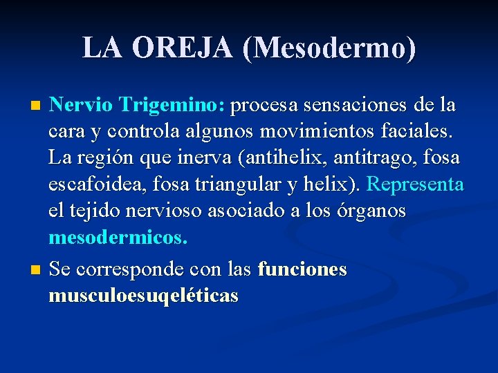 LA OREJA (Mesodermo) Nervio Trigemino: procesa sensaciones de la cara y controla algunos movimientos