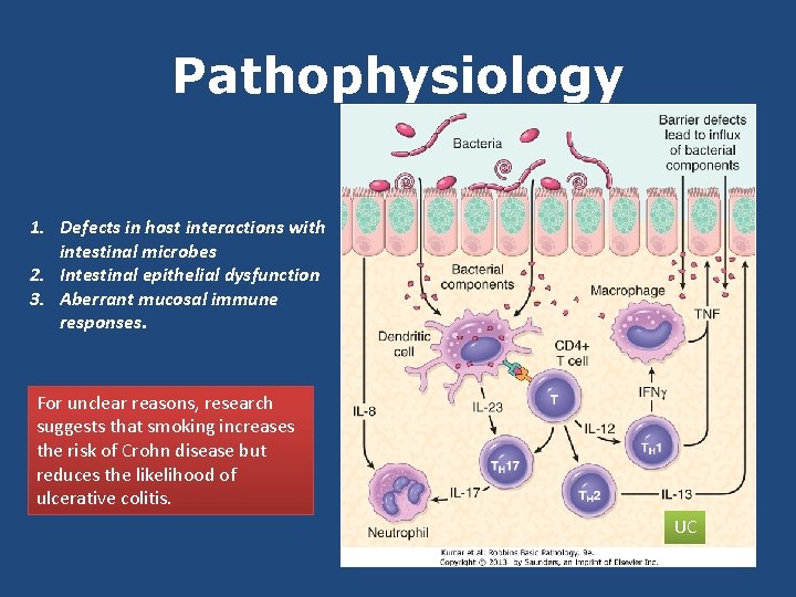 Pathophysiology 1. Defects in host interactions with intestinal microbes 2. Intestinal epithelial dysfunction 3.