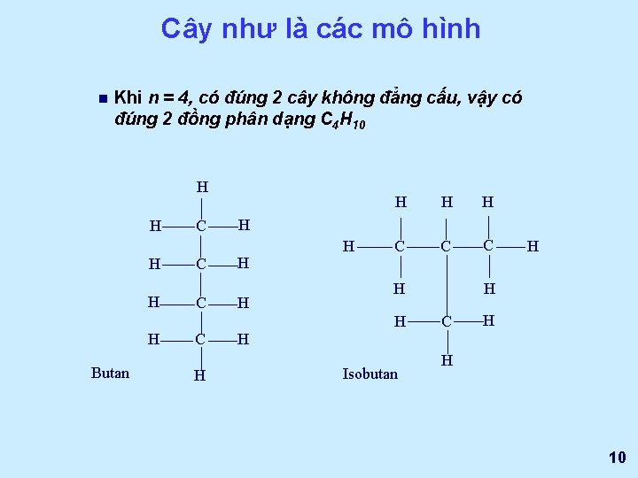 Cây như là các mô hình n Khi n = 4, có đúng 2