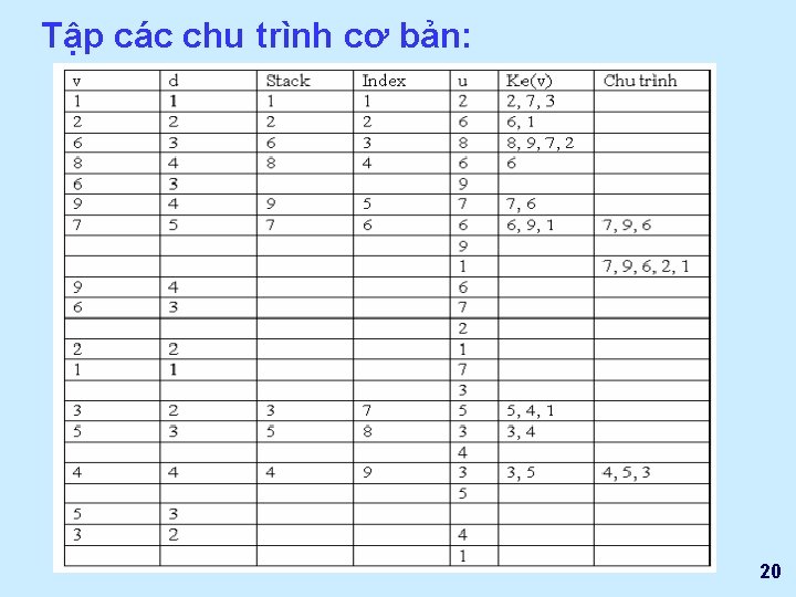 Tập các chu trình cơ bản: 20 