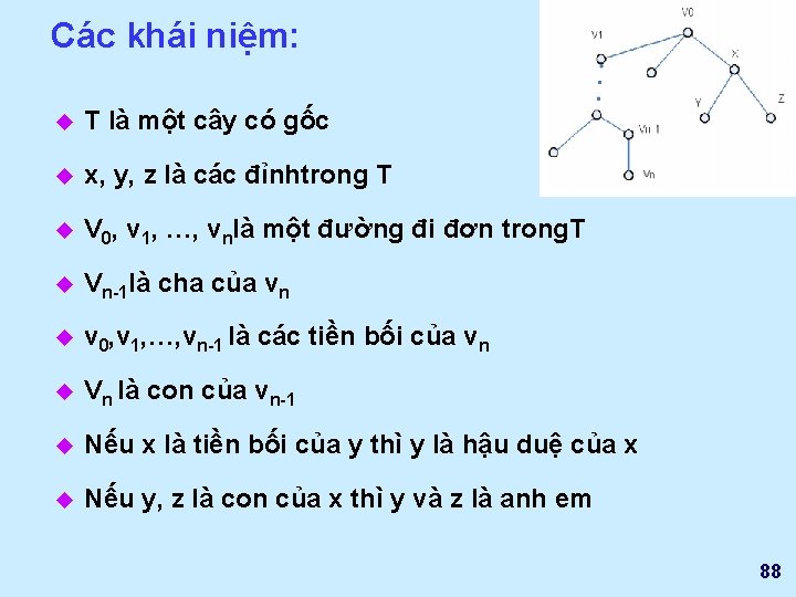 Các khái niệm: u T là một cây có gốc u x, y, z