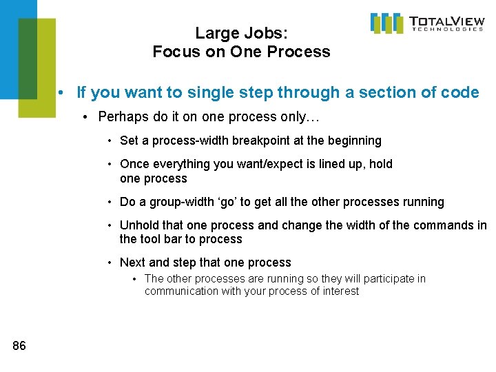 Large Jobs: Focus on One Process • If you want to single step through