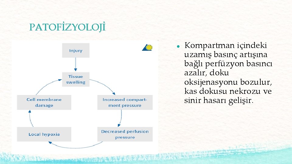 PATOFİZYOLOJİ Kompartman içindeki uzamış basınç artışına bağlı perfüzyon basıncı azalır, doku oksijenasyonu bozulur, kas