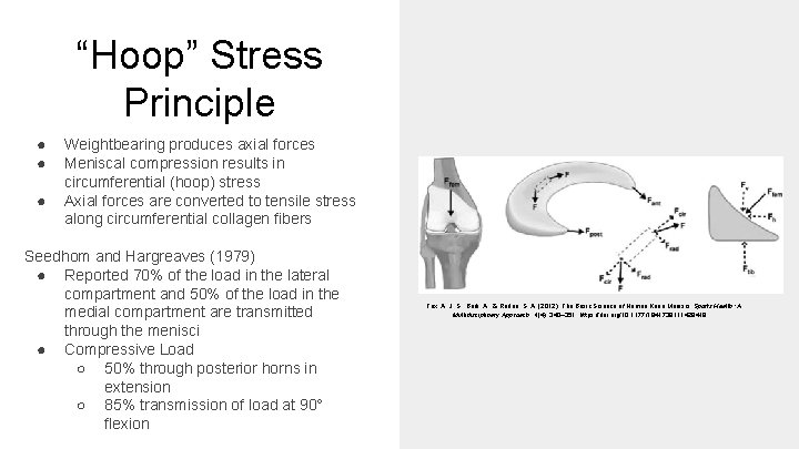 “Hoop” Stress Principle ● ● ● Weightbearing produces axial forces Meniscal compression results in