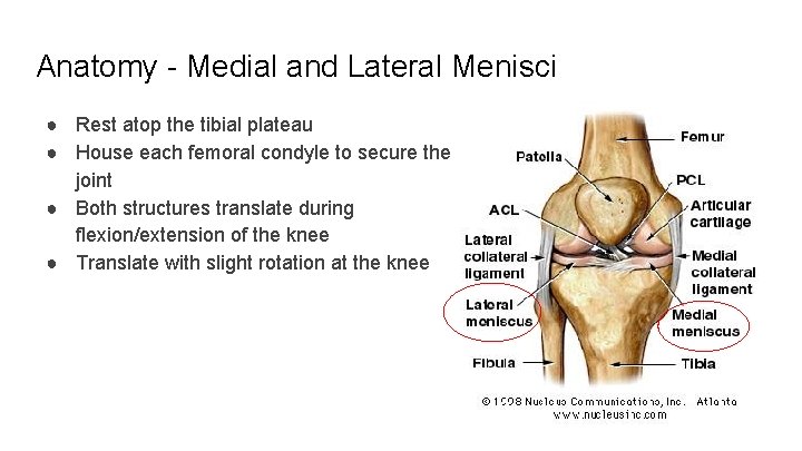 Anatomy - Medial and Lateral Menisci ● Rest atop the tibial plateau ● House