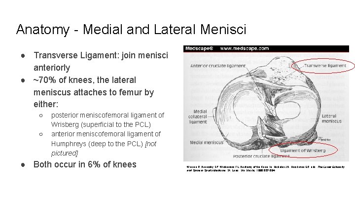 Anatomy - Medial and Lateral Menisci ● Transverse Ligament: join menisci anteriorly ● ~70%