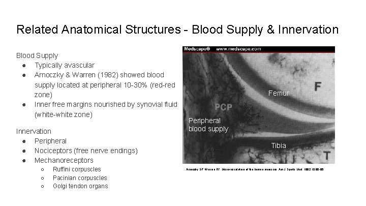Related Anatomical Structures - Blood Supply & Innervation Blood Supply ● Typically avascular ●