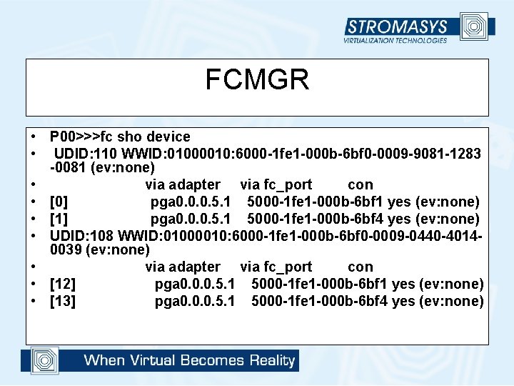 FCMGR • P 00>>>fc sho device • UDID: 110 WWID: 01000010: 6000 -1 fe