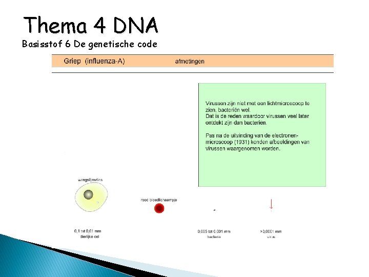 Thema 4 DNA Basisstof 6 De genetische code 