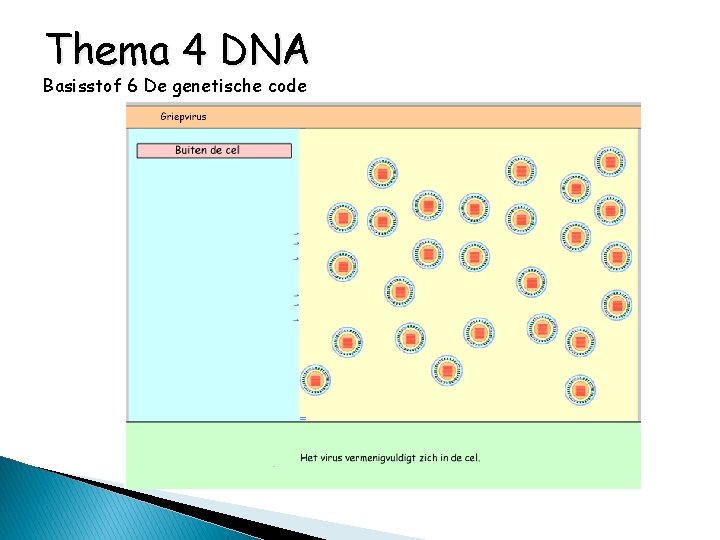 Thema 4 DNA Basisstof 6 De genetische code 