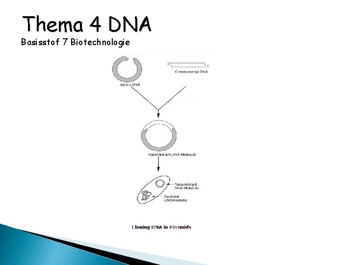 Thema 4 DNA Basisstof 7 Biotechnologie 