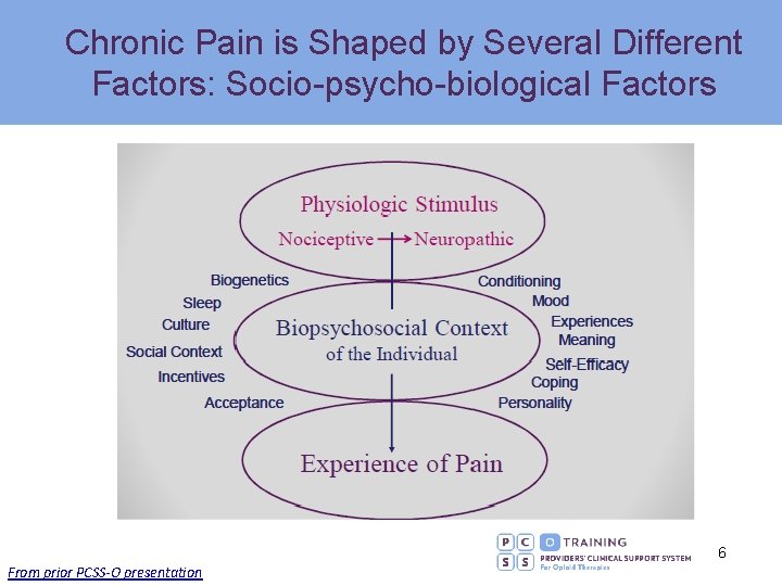 Chronic Pain is Shaped by Several Different Factors: Socio-psycho-biological Factors 6 From prior PCSS-O