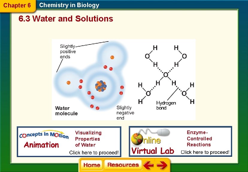 Chapter 6 Chemistry in Biology 6. 3 Water and Solutions Visualizing Properties of Water