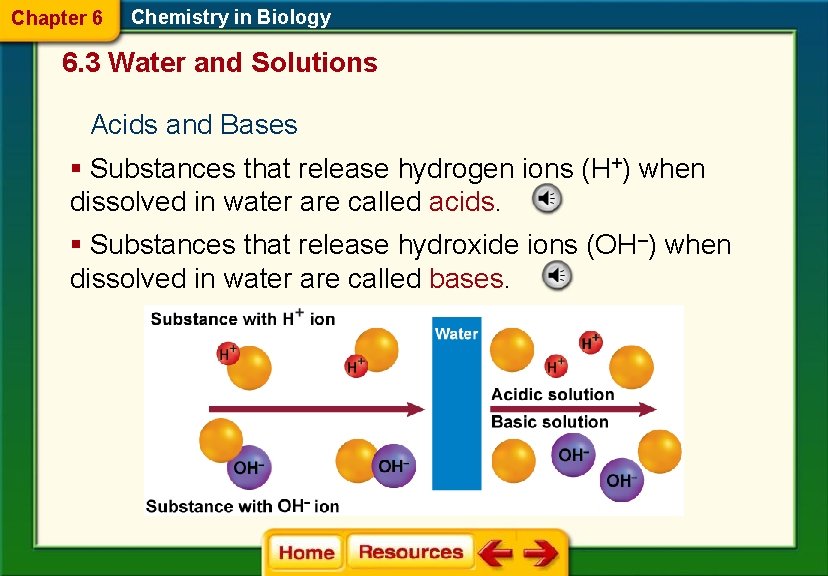 Chapter 6 Chemistry in Biology 6. 3 Water and Solutions Acids and Bases §