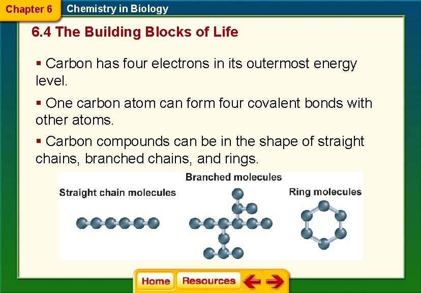 Chapter 6 Chemistry in Biology 6. 4 The Building Blocks of Life § Carbon