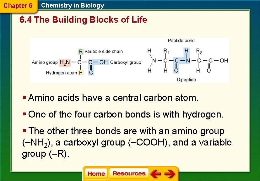 Chapter 6 Chemistry in Biology 6. 4 The Building Blocks of Life § Amino
