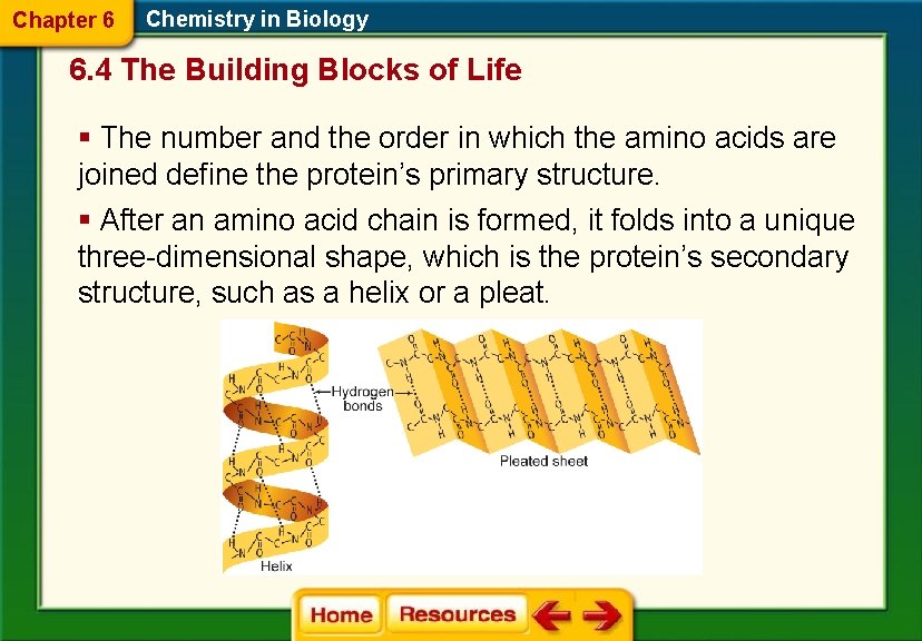 Chapter 6 Chemistry in Biology 6. 4 The Building Blocks of Life § The