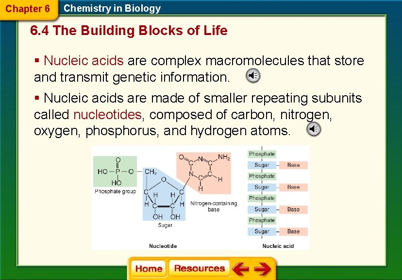 Chapter 6 Chemistry in Biology 6. 4 The Building Blocks of Life § Nucleic