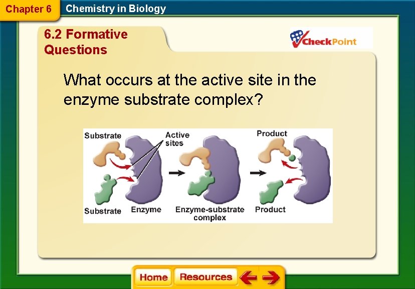 Chapter 6 Chemistry in Biology 6. 2 Formative Questions What occurs at the active